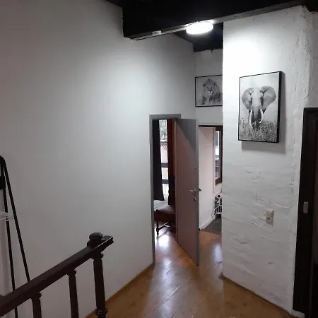 Blue In The Old Town 아파트 안트베르펜